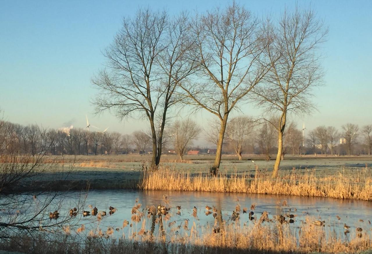 Logies De Meerkoet Bruggy Exteriér fotografie