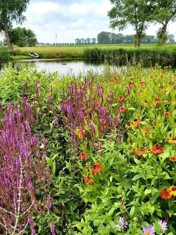 Logies De Meerkoet Bruggy Exteriér fotografie